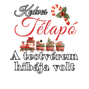 Kedves Télapó, A testvérem hibája volt